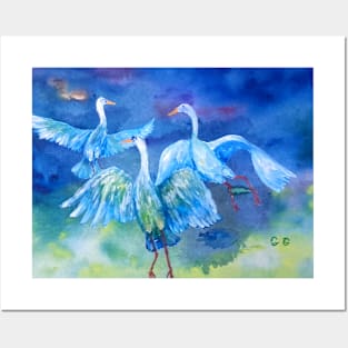 Australian Dancing Cranes Posters and Art